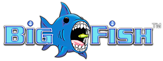 Big Fish DPI Logo